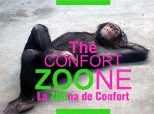Zona de confort